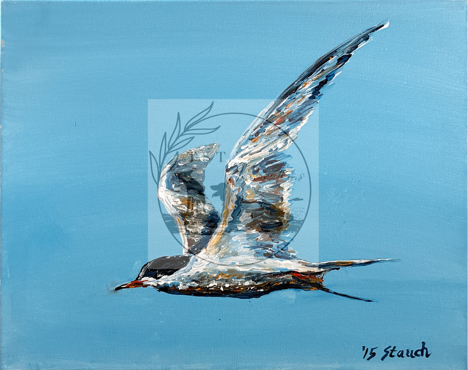 flying seagull #2