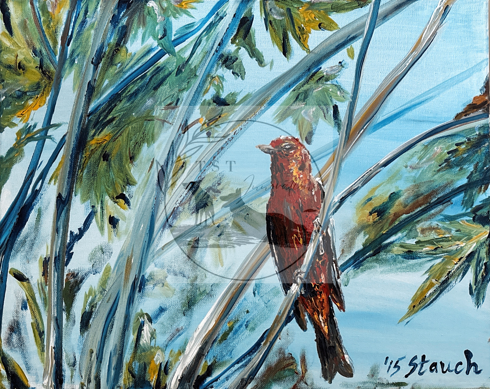red bird
