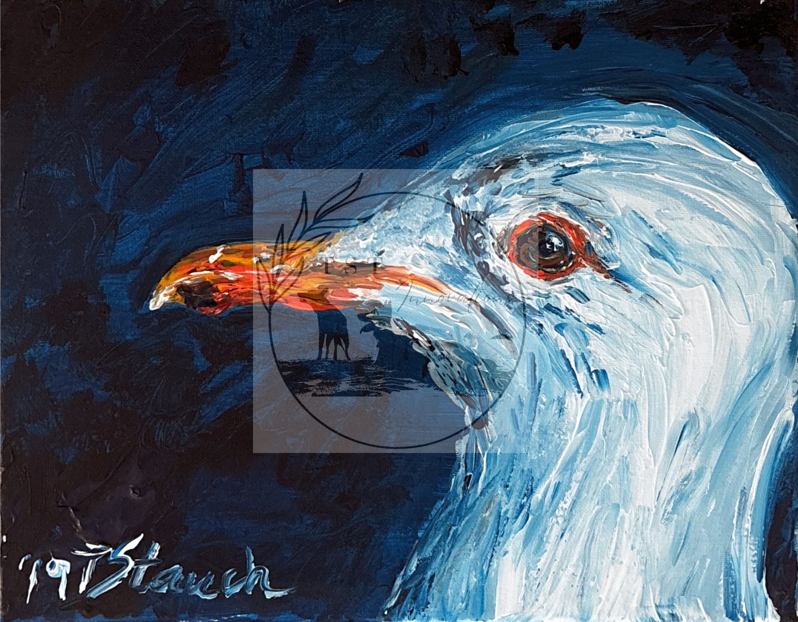 Seagull head