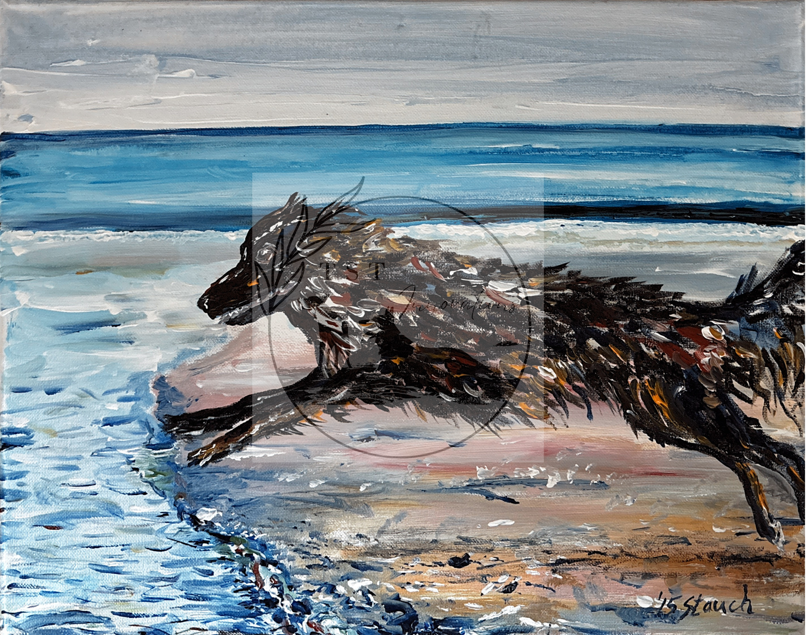 dogbeach