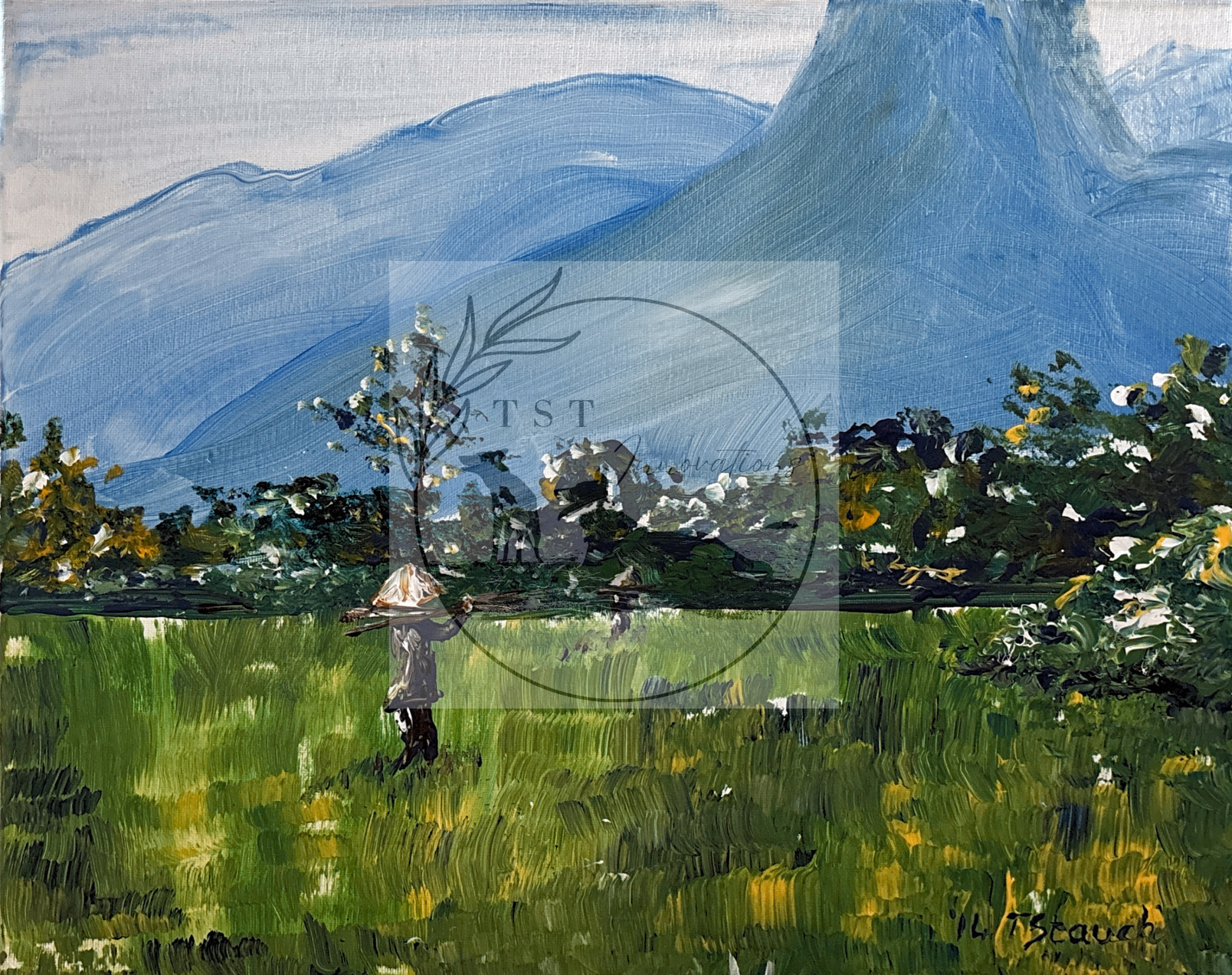 rice fields