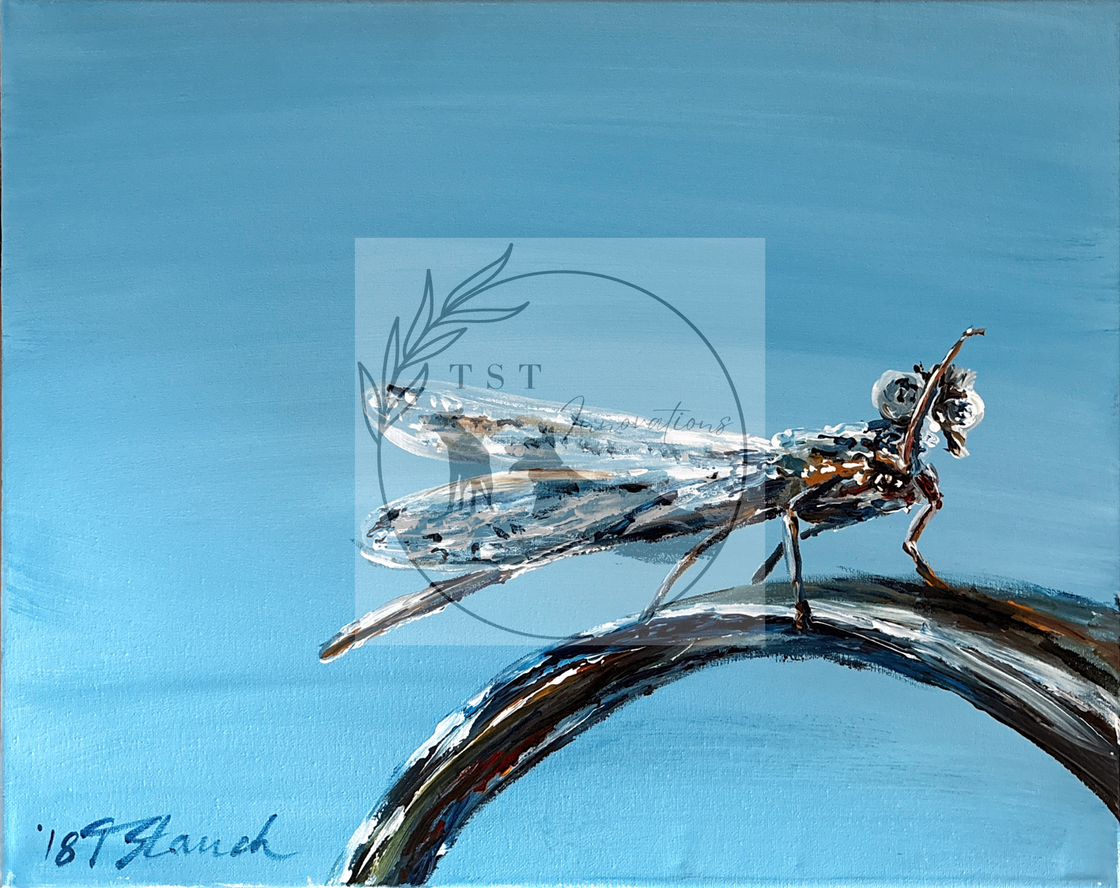 dragonfly
