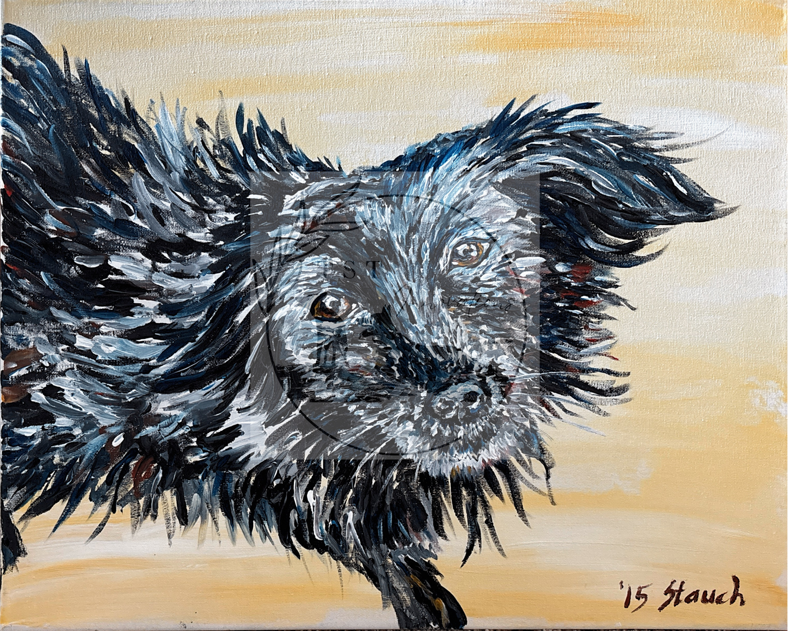 patient dog