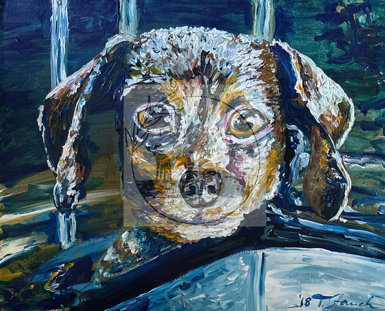 the puppy
