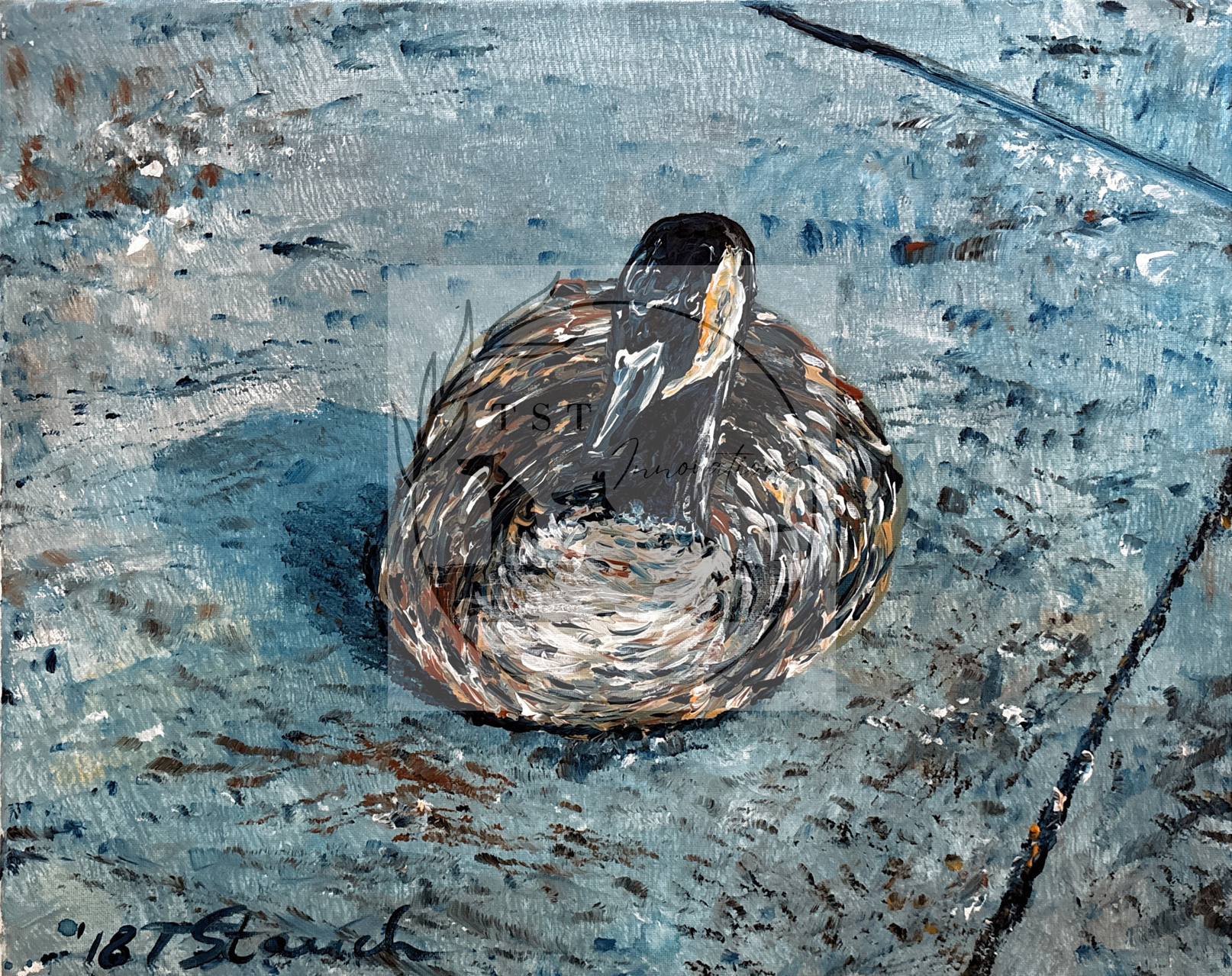 sleeping duck