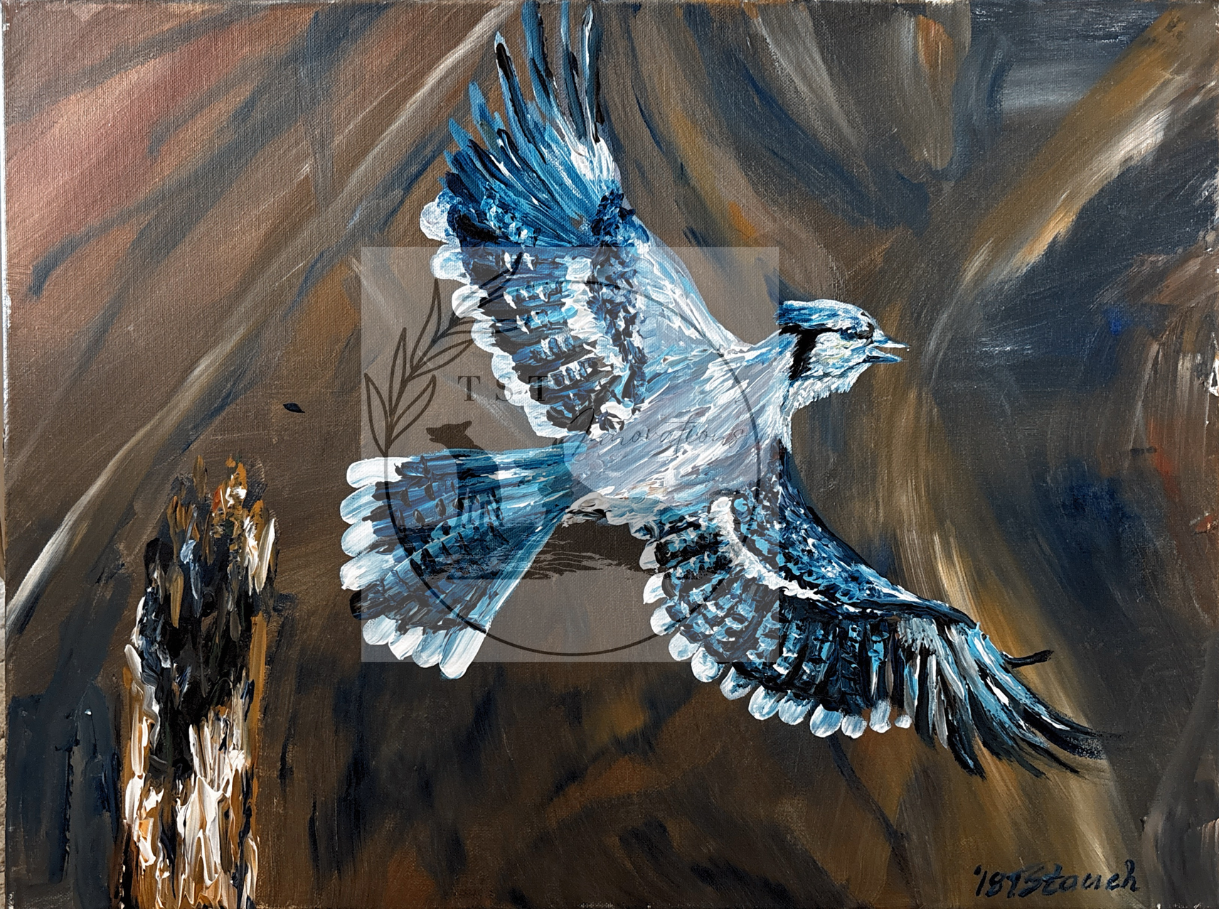 Blue Jay