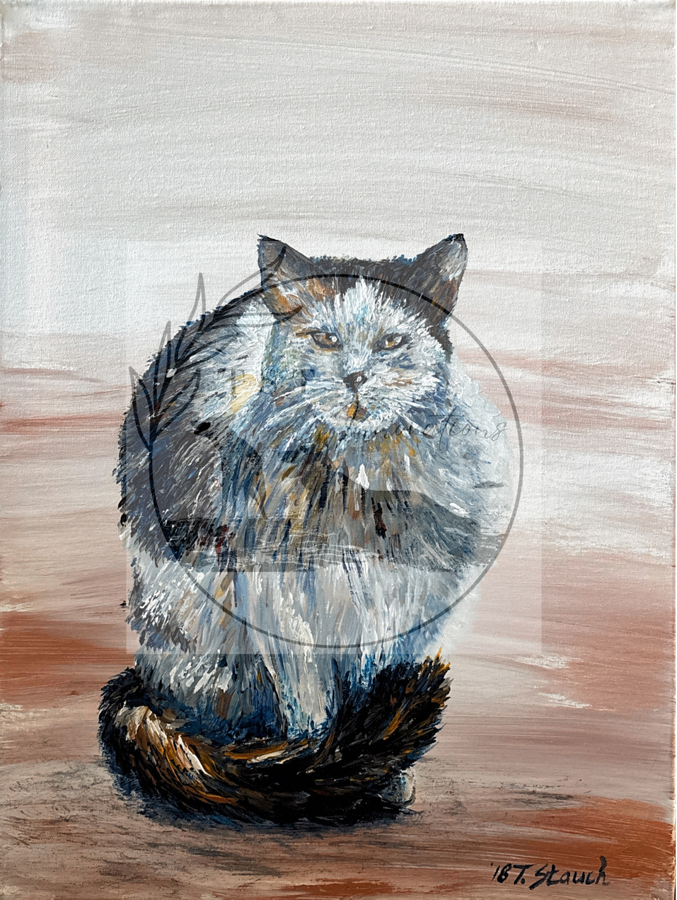 The sitting Cat