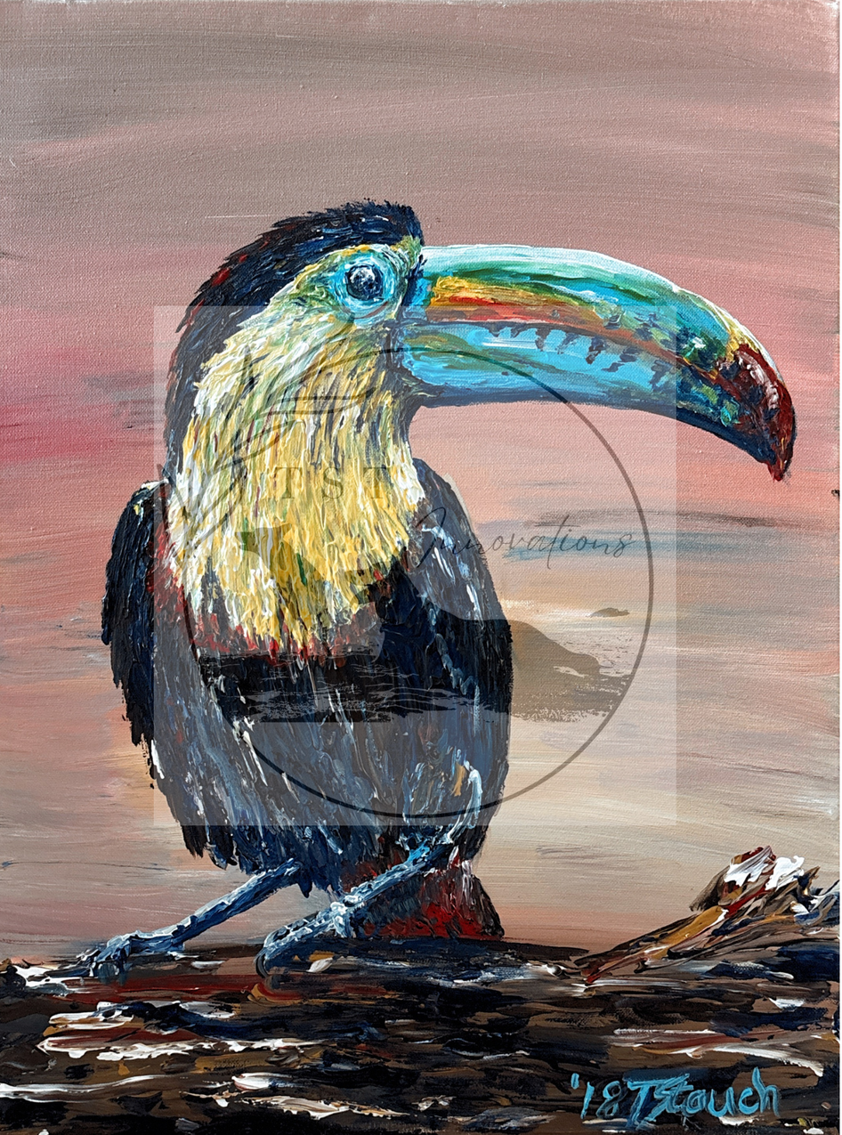 curious Toucan