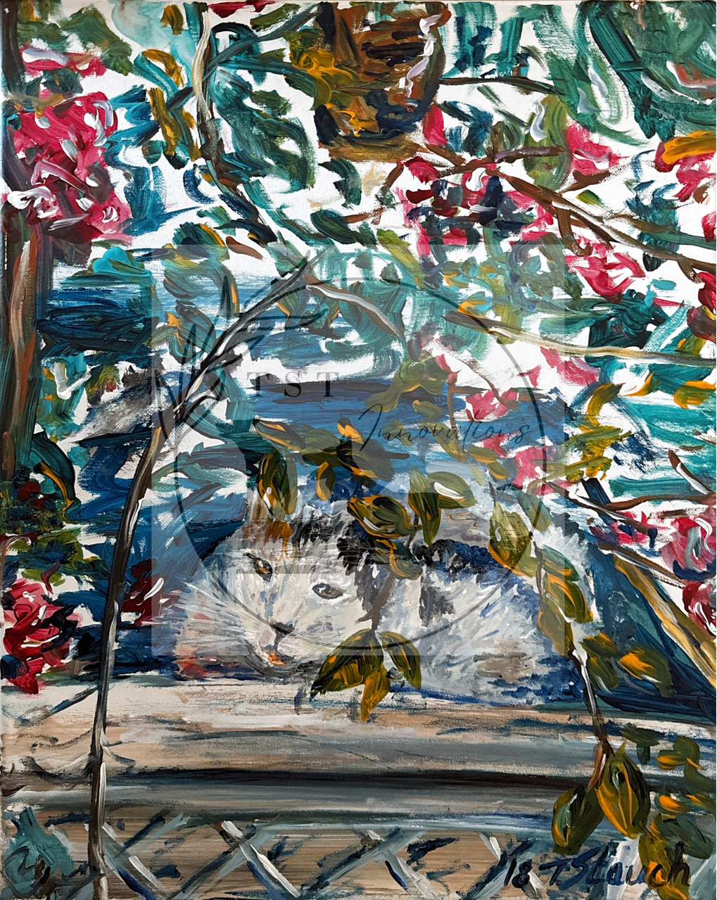 the hidden cat