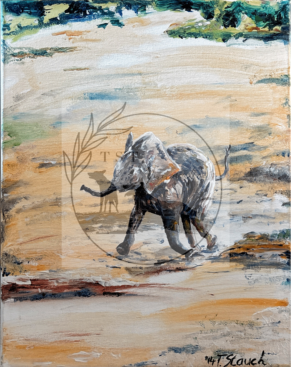 Baby elephant
