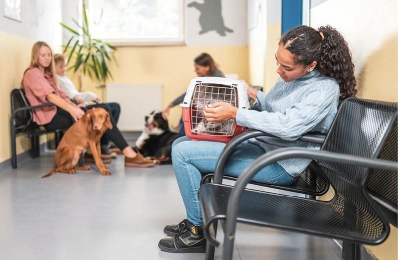 Emergency Veterinary Hospitals Vending