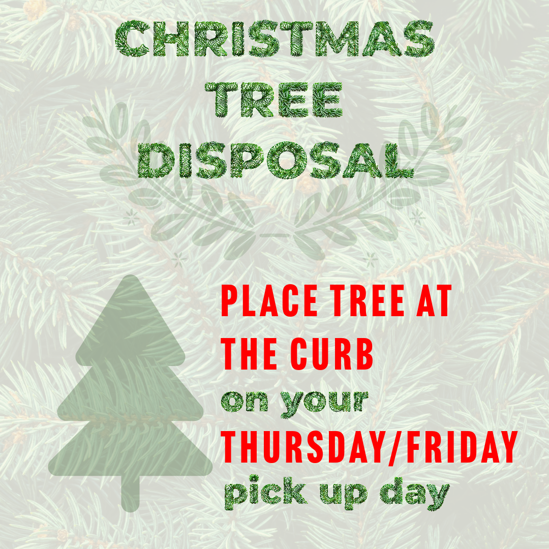 Christmas Tree Disposal