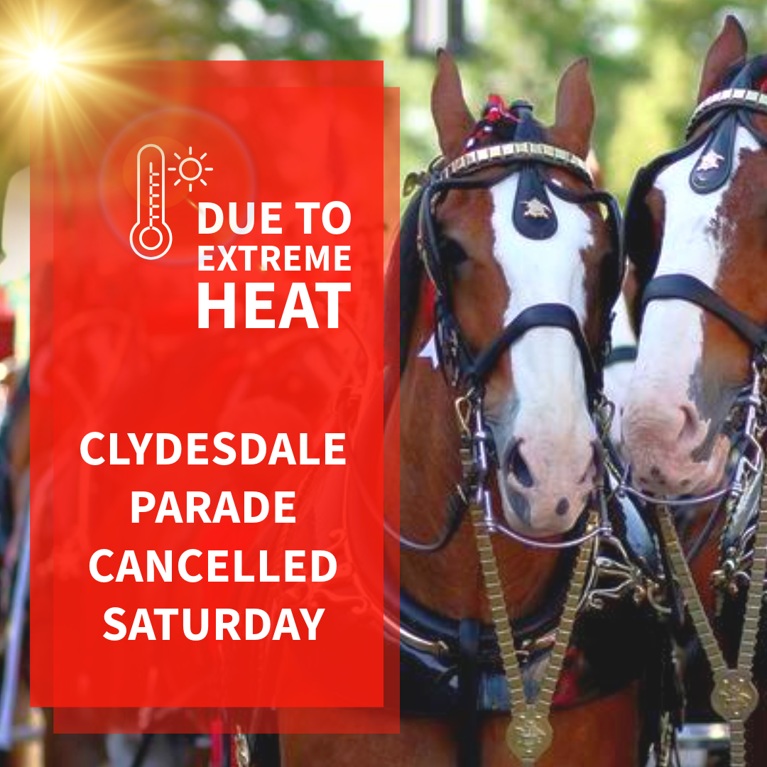 Two horses are pulling a clydesdale parade on saturday