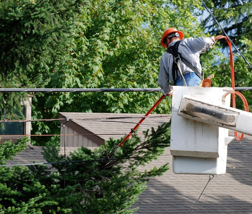 A man in a bucket is cutting a tree branch
