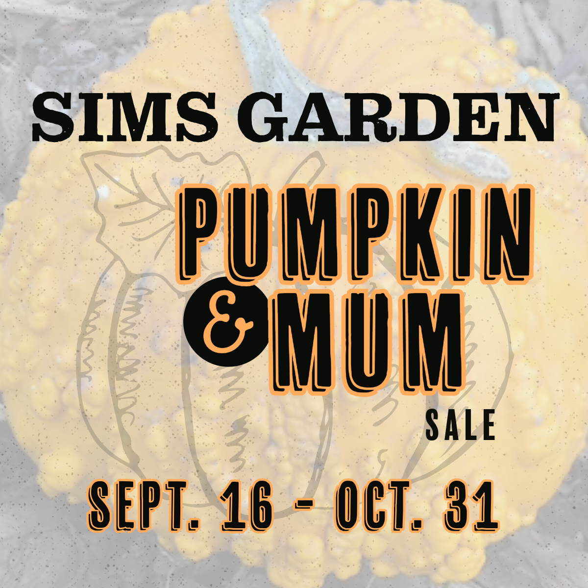 A poster for a pumpkin and mum sale at sims garden