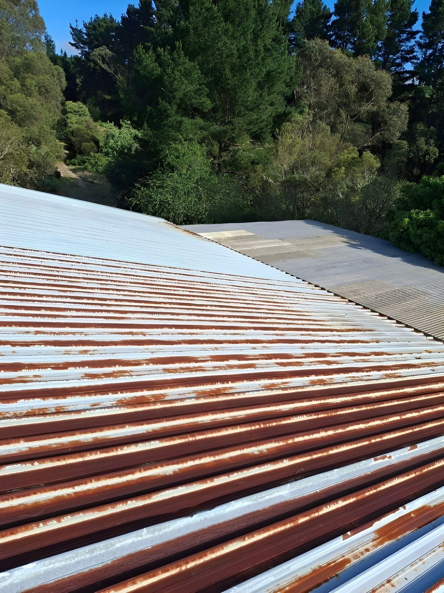 A rusty metal roof with trees in the background — Roofworx Group In Orange, NSW