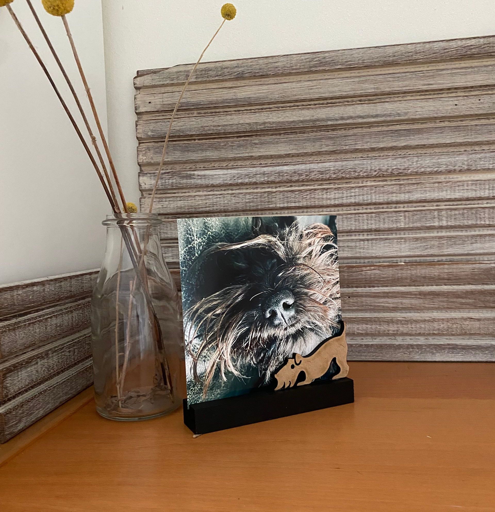 Zwarte hond met een bot in zijn bek, in een fotolijstje op een houten oppervlak.