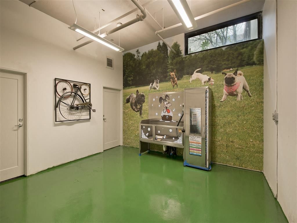 Community amenity room featuring a wall-mounted bike and a dog mural at Harrison Tower