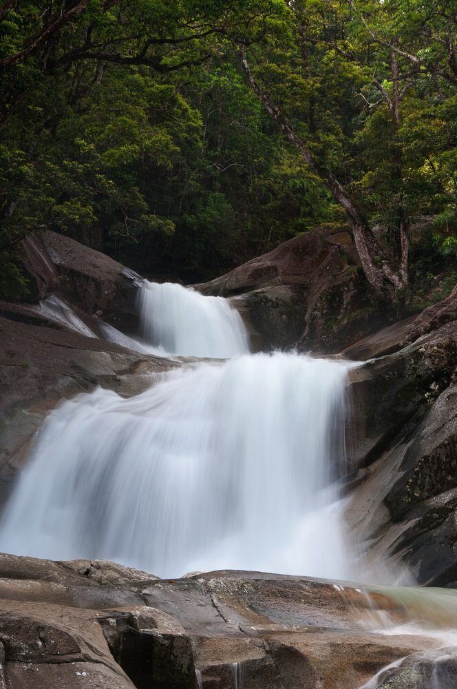 A Waterfall is Surrounded by Rocks and Trees in the Middle of a Forest — Bluewater Pharmacy in Paluma, QLD