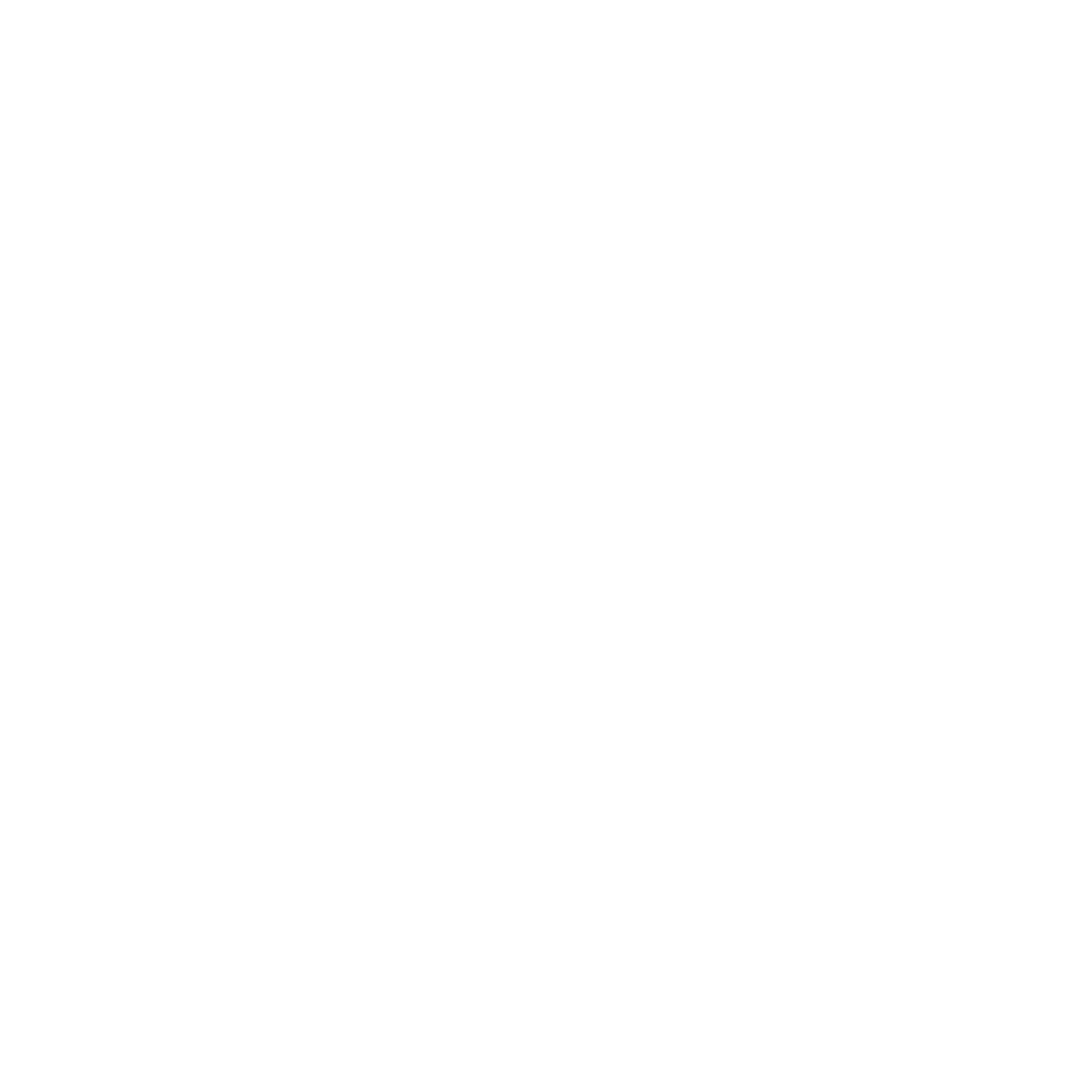 Skillhouse IT Staffing