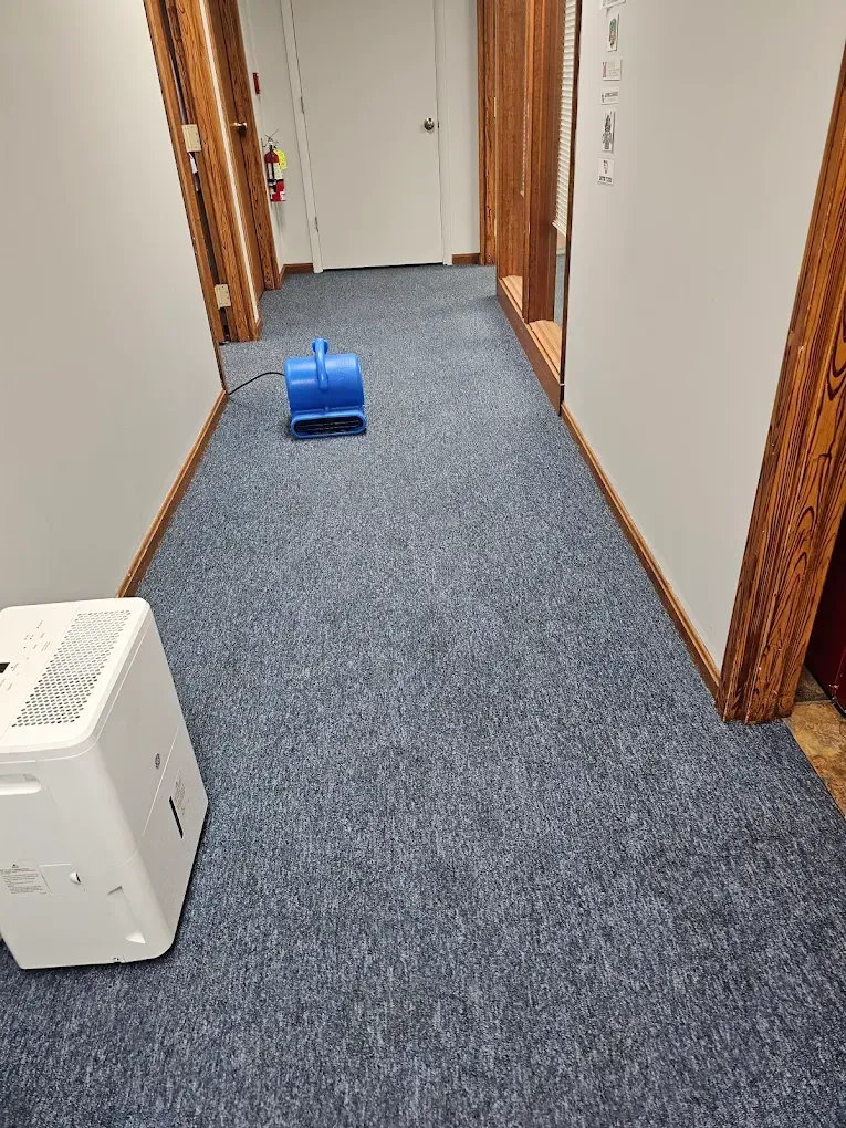 Blue carpeted hallway with a fan and dehumidifier.