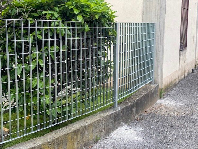 Recinzione metallica accanto a fitti cespugli verdi lungo uno stretto vicolo adiacente a un muro di cemento.