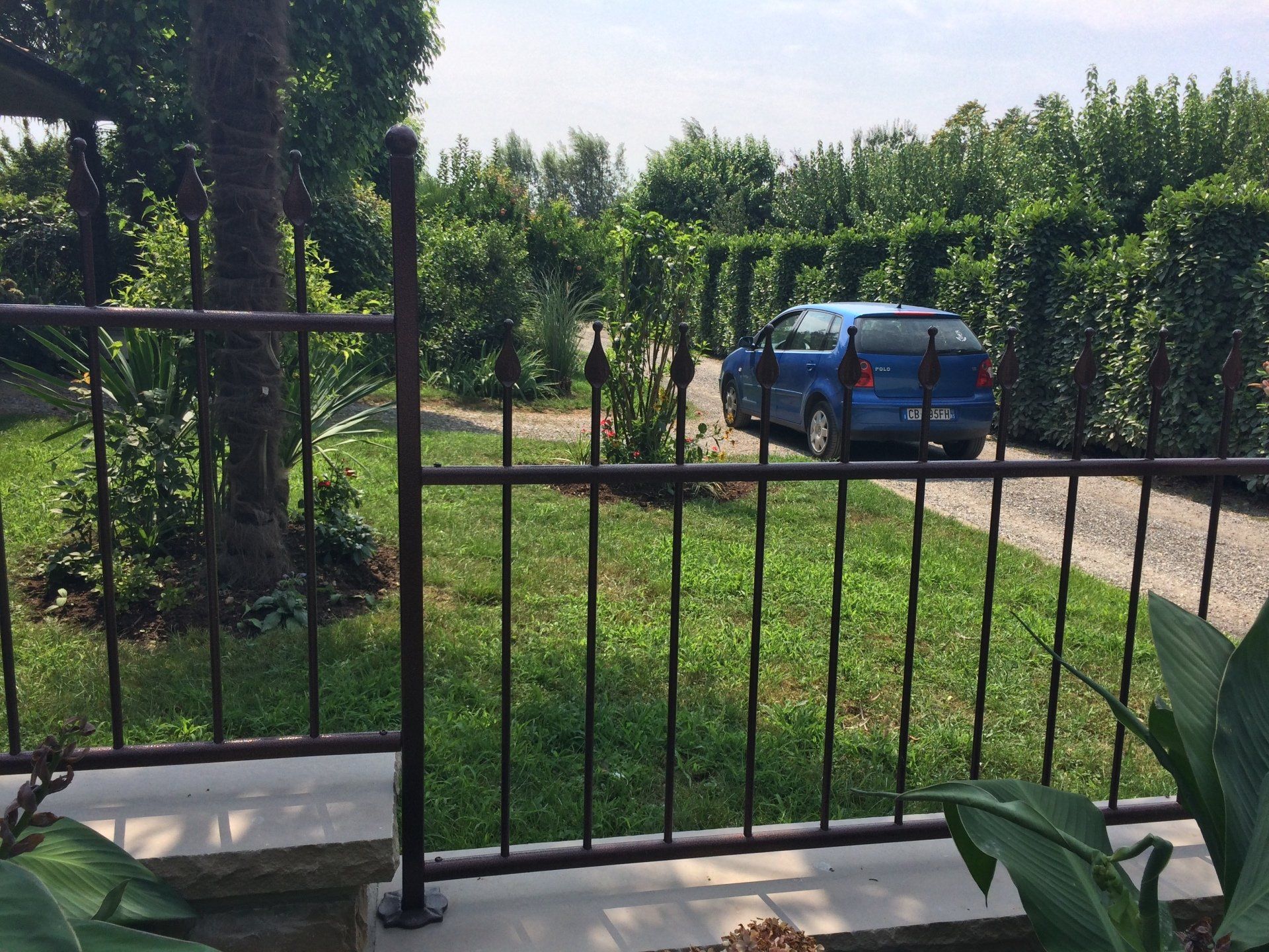 Un pick-up blu dietro un cancello di metallo nero, accanto a una strada sterrata e a filari di vigneti.
