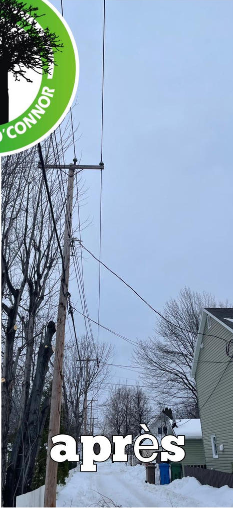 Une photo d'une rue enneigée avec un panneau indiquant après