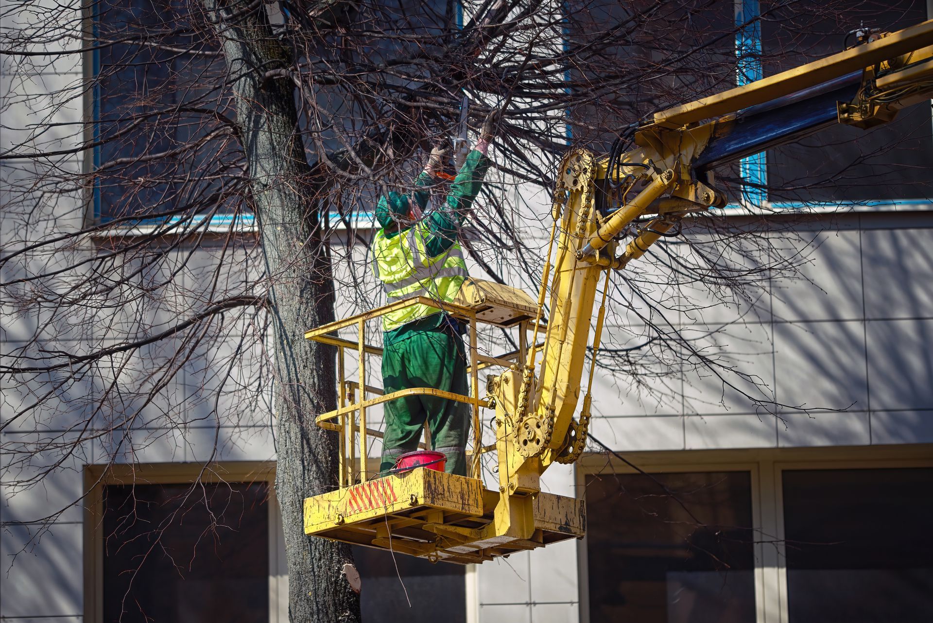 Un homme coupe un arbre avec une grue.