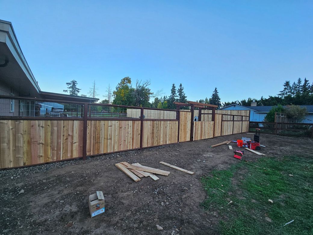 Young tree in a landscaped backyard with wooden fence and house under a clear blue sky