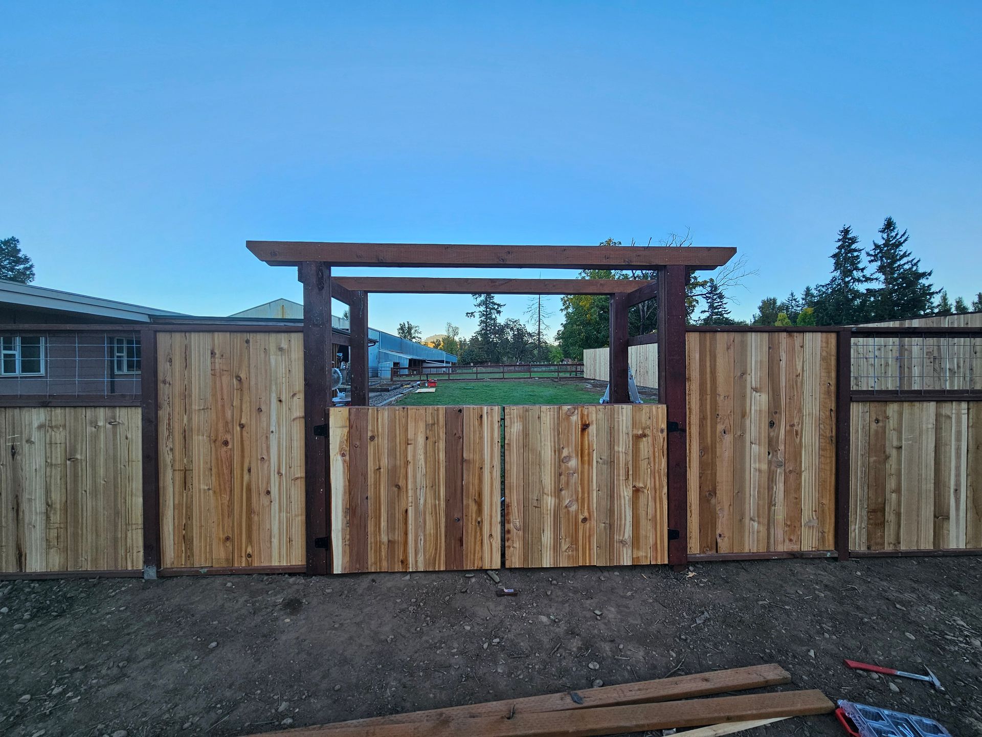 Small tree in a fenced backyard garden with mulch and green grass under a blue sky