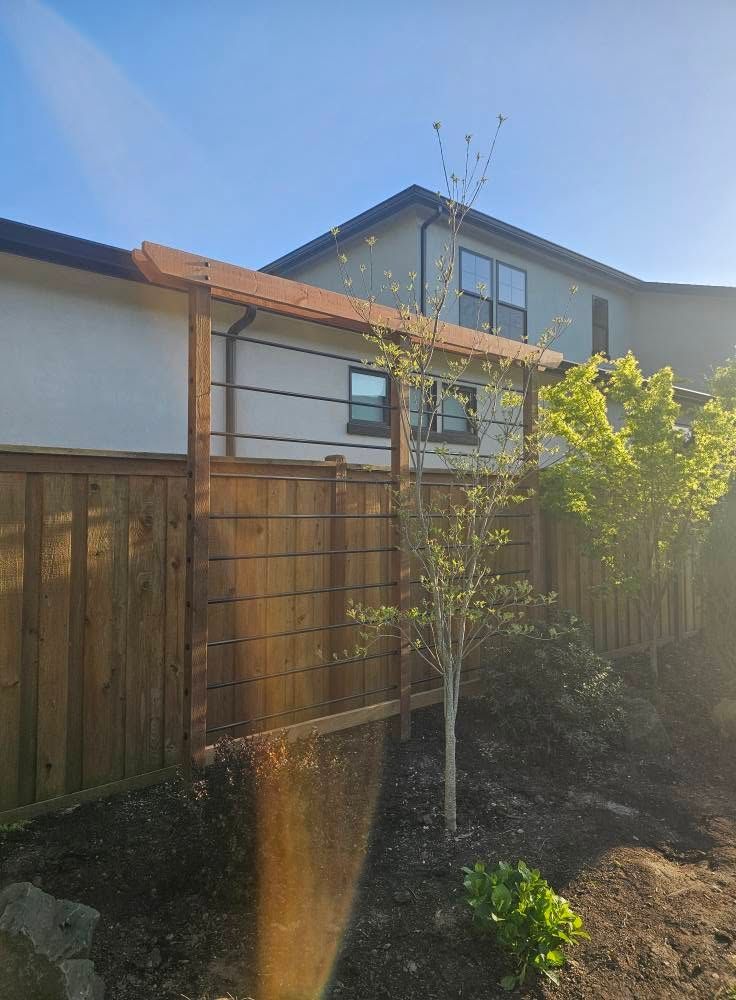 Backyard with a wooden fence, young tree, and a two-story house under a bright sky.