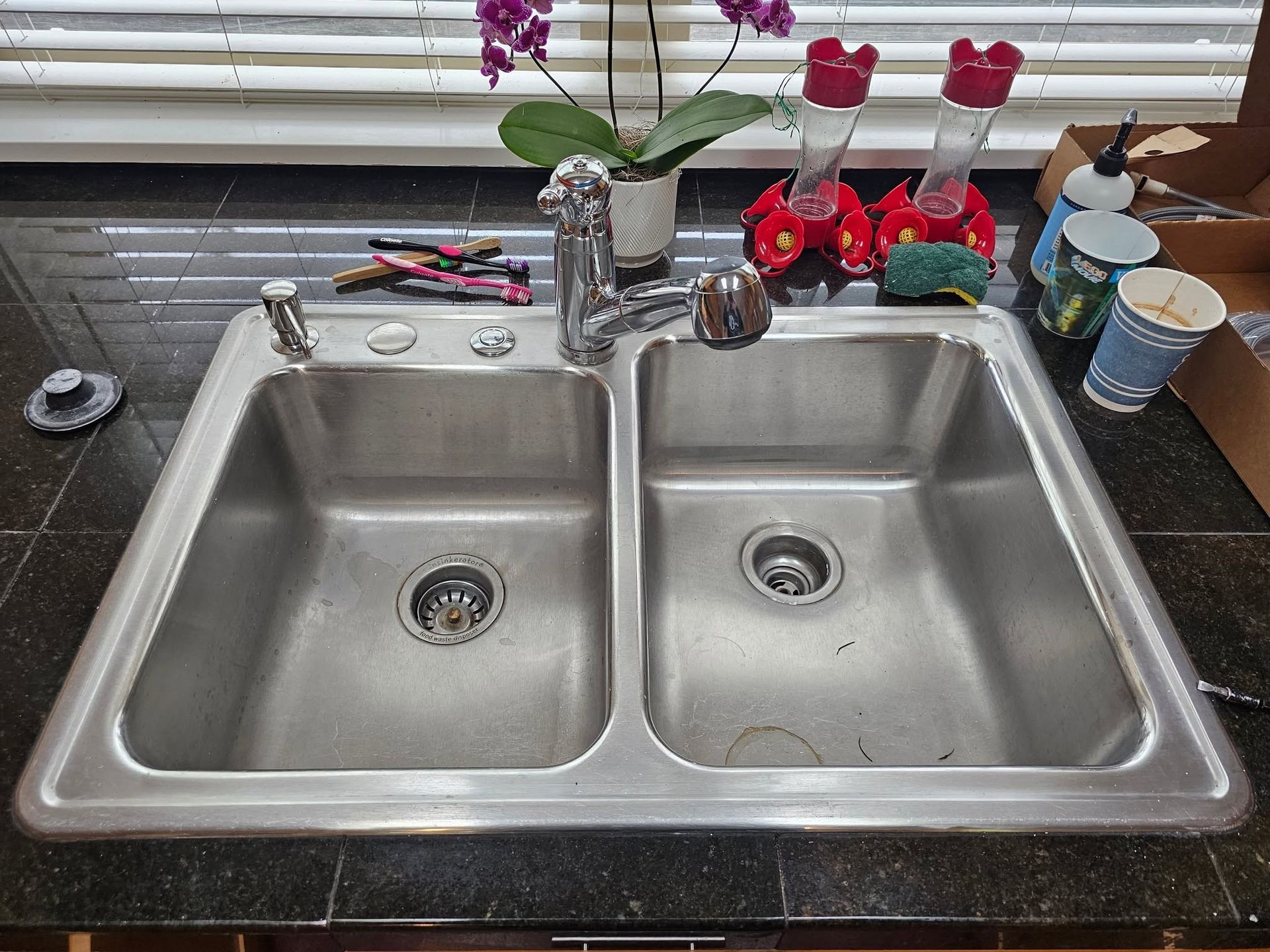 Double kitchen sink beneath a window, with orchids and cleaning items on the counter.