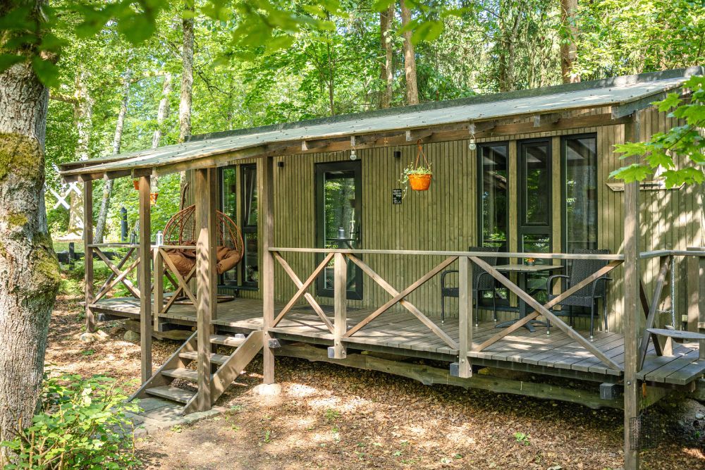 forest house 3
