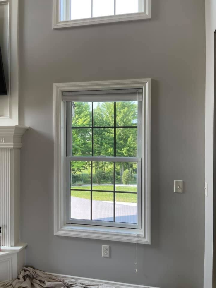 Motorized Roller Shades