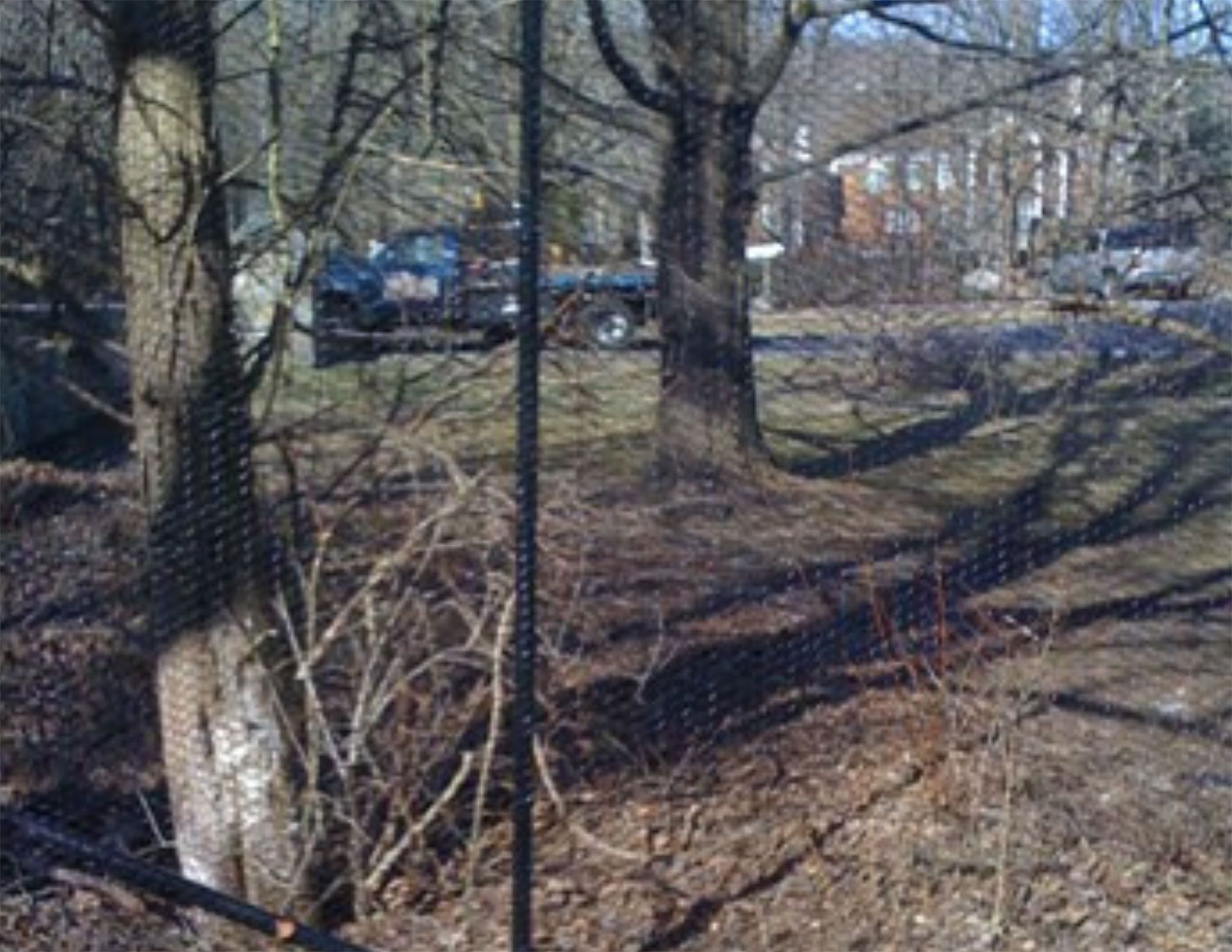 Deer Fences 1