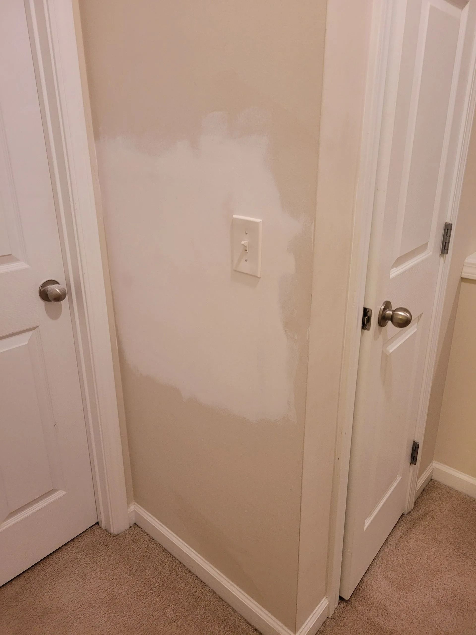 Hallway corner with a light switch and patchy painted wall between two closed white doors.