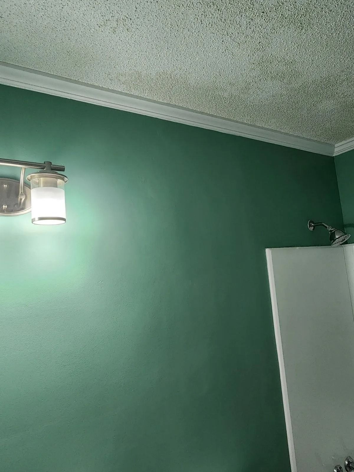 Green wall and speckled ceiling with a lit wall sconce and a white cabinet edge on the right.