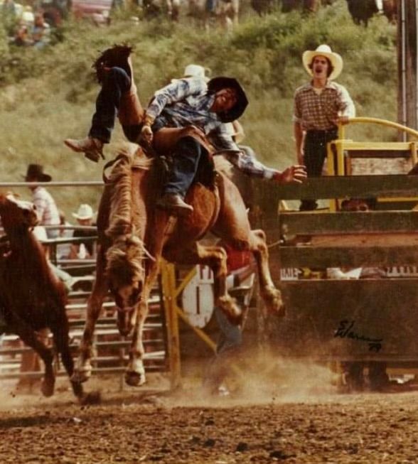 Bucking horse throws rider in a dusty rodeo arena, with spectators behind the fence.