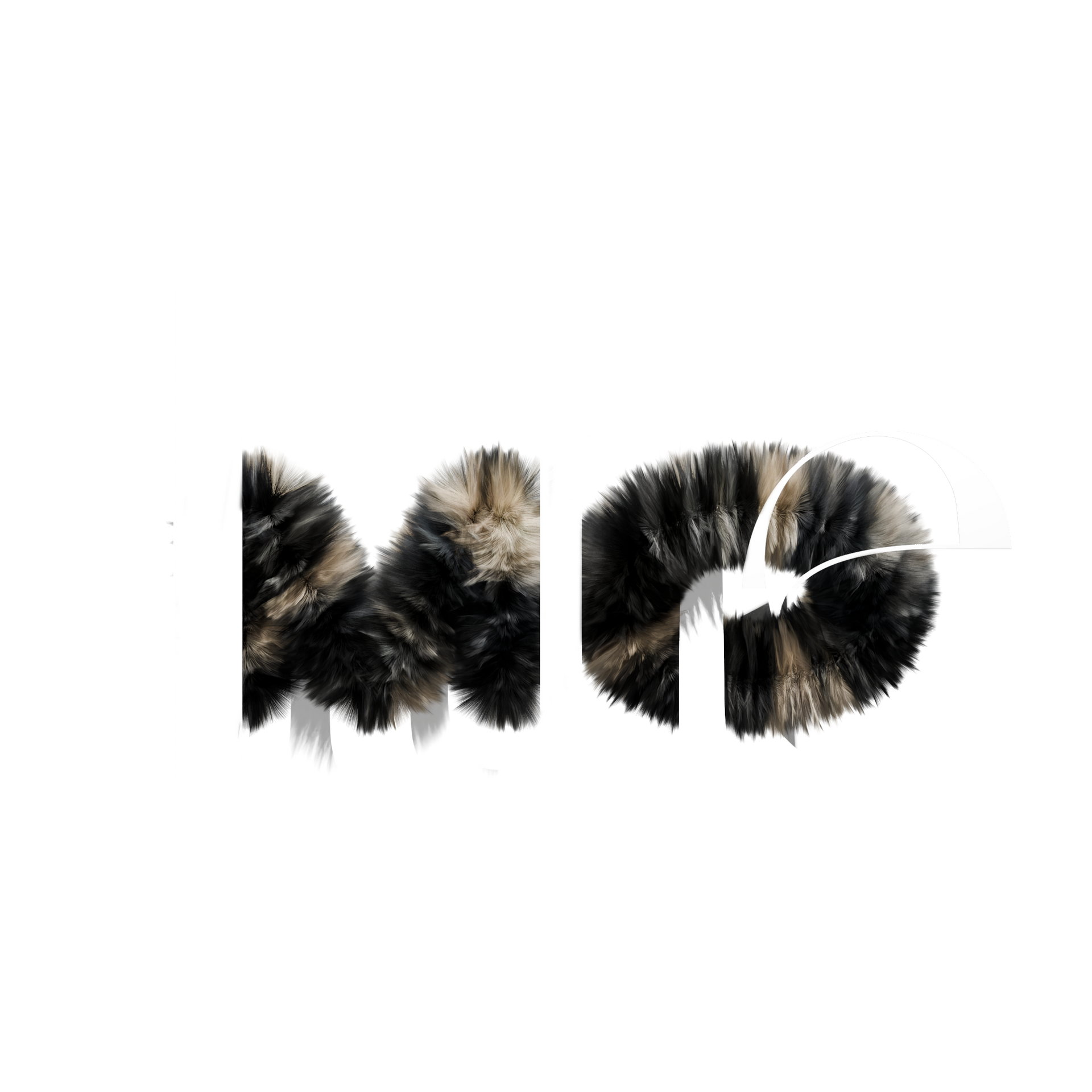 Little mo logo