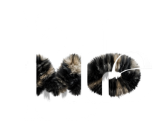 Little mo logo