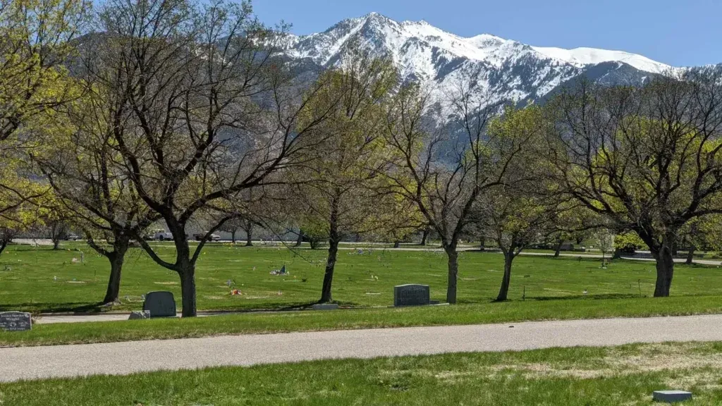 Snow-capped mountains behind a green park with trees and a grassy field.