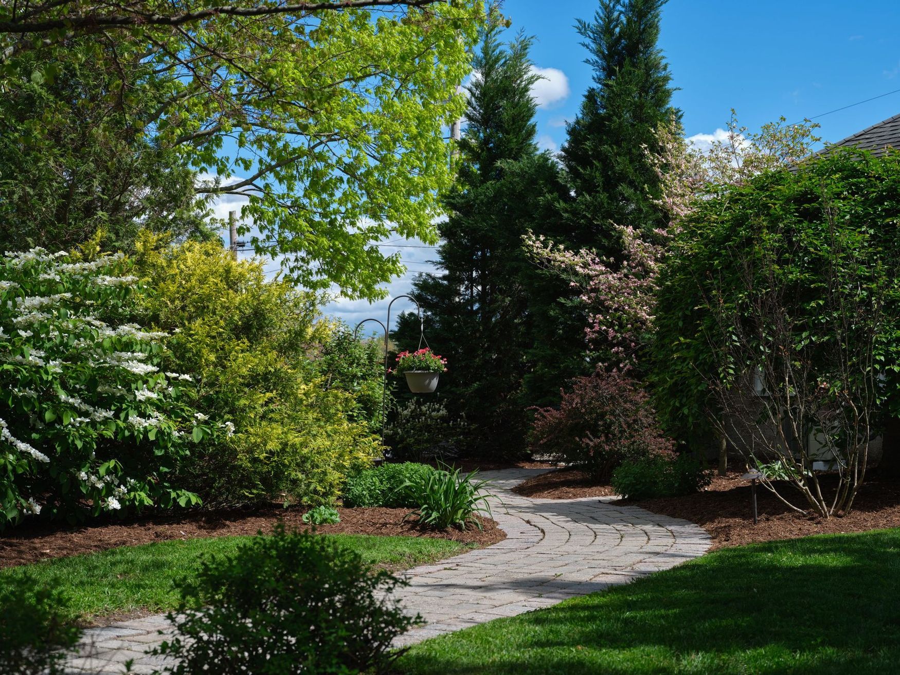 A path in a garden surrounded by trees and bushes