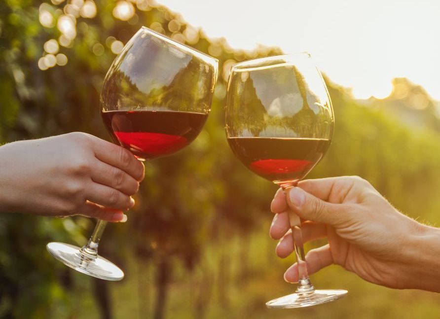 Two people are toasting with wine glasses in a vineyard.