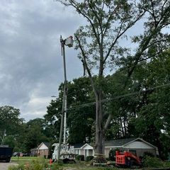 A man is cutting a tree with a crane in front of a house. A man is cutting a tree with a crane in front of a house.