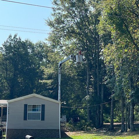 A man in a bucket is cutting a tree in front of a mobile home.