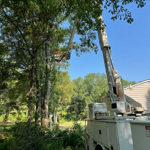 A crane is cutting a tree in front of a house.