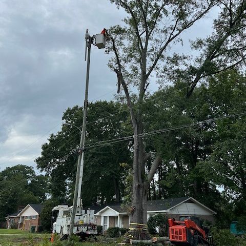 A man is cutting a tree with a crane in a residential area.