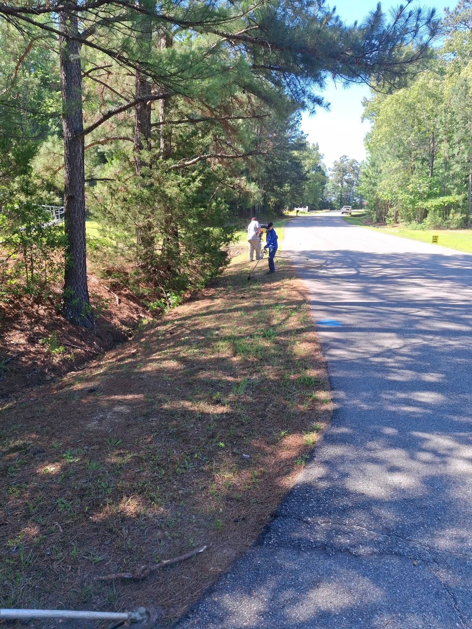 Two people walking along a sunny gravel road beside pine trees and green foliage