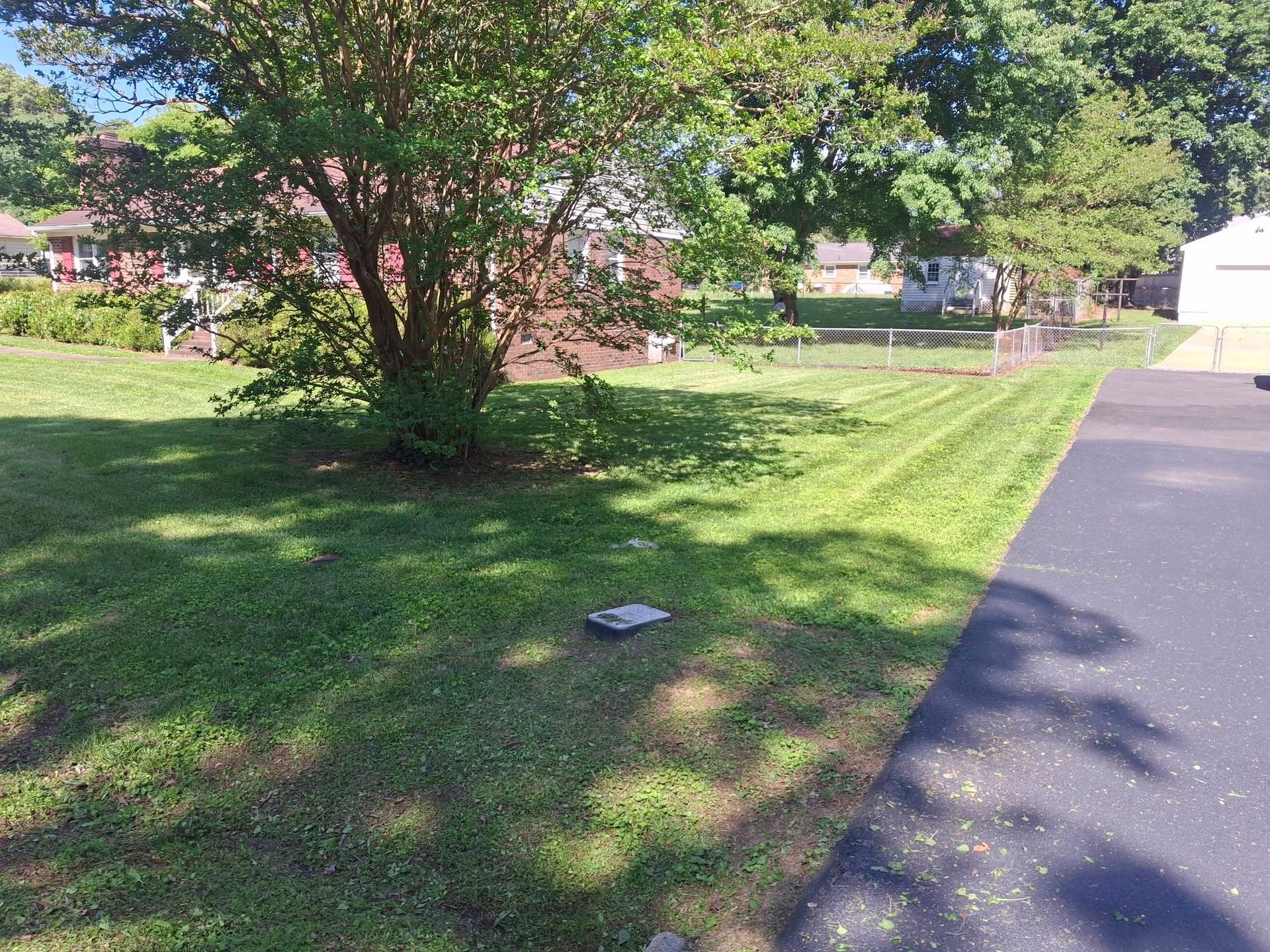 Sunny suburban yard with a large tree, green grass, and a paved driveway beside a house
